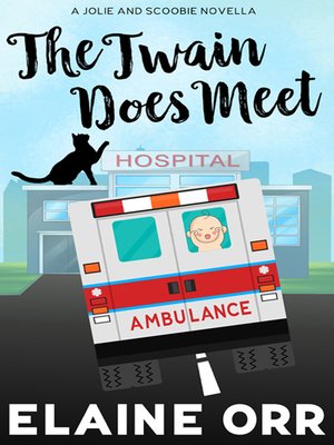 cover image of The Twain Does Meet